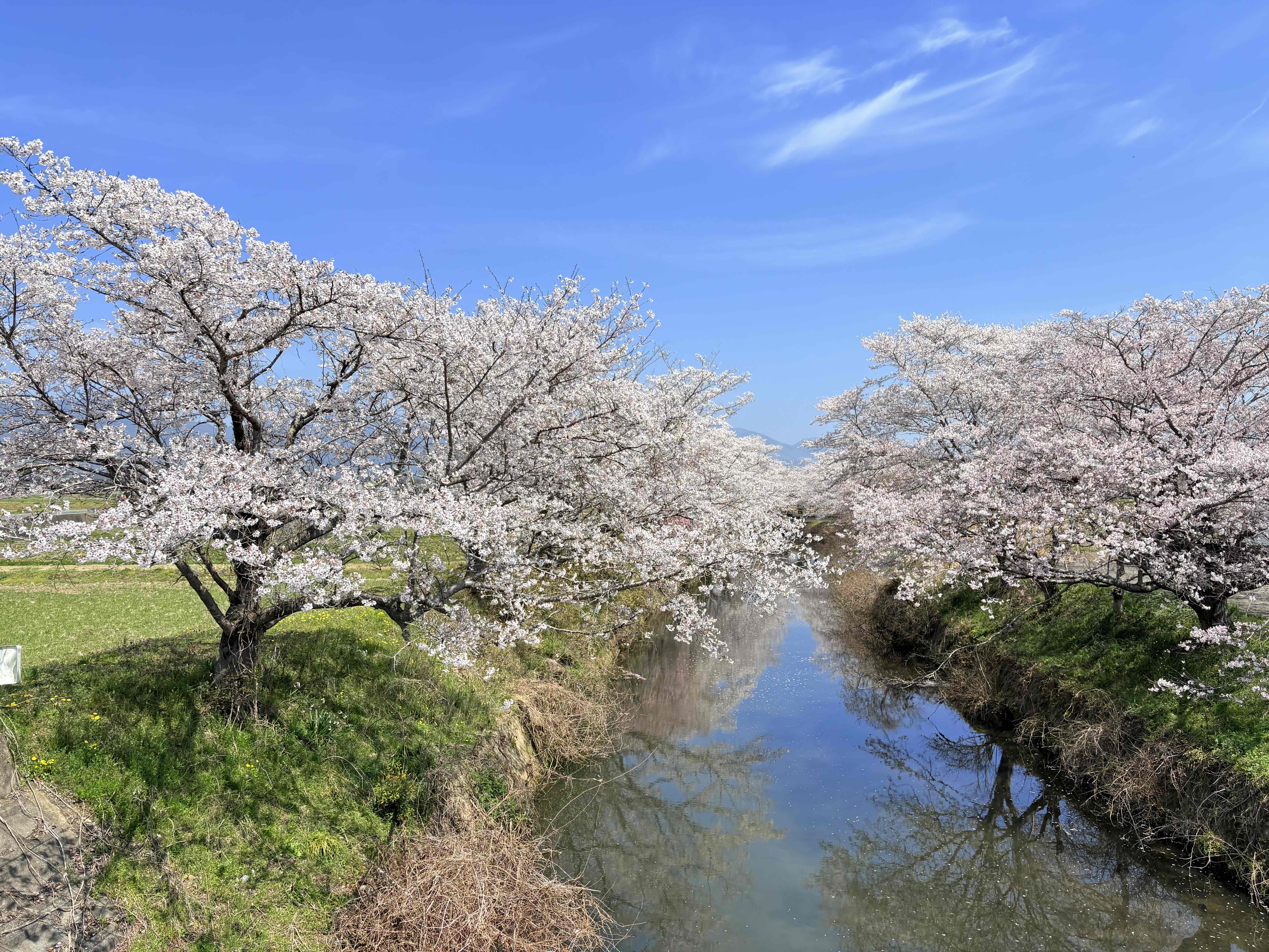 トップページ1_メインビジュアル3