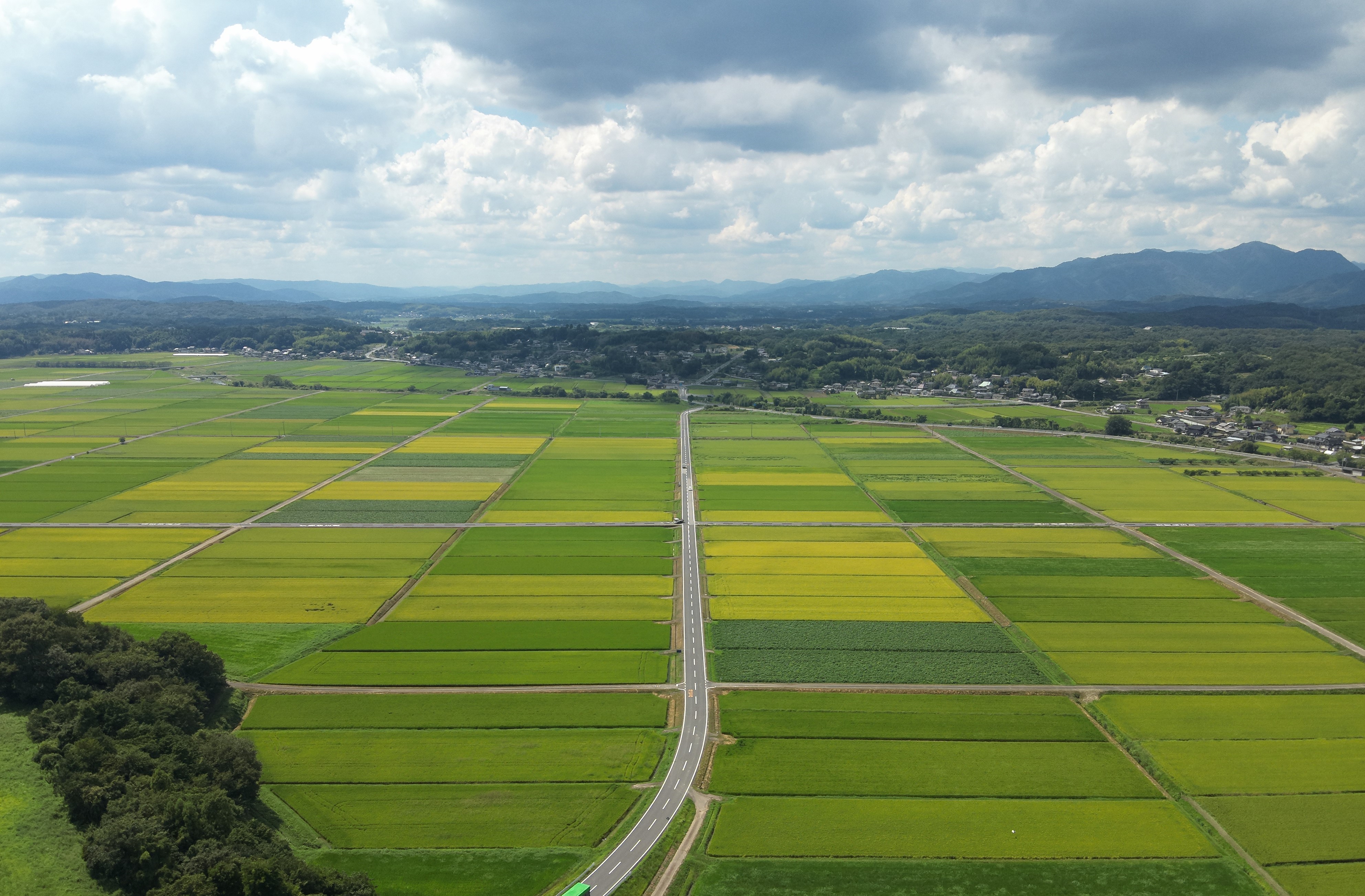 美野平野
