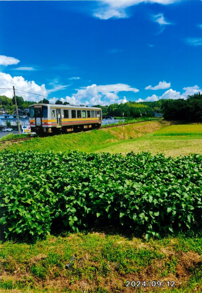 2位　え～がん！賞の画像2