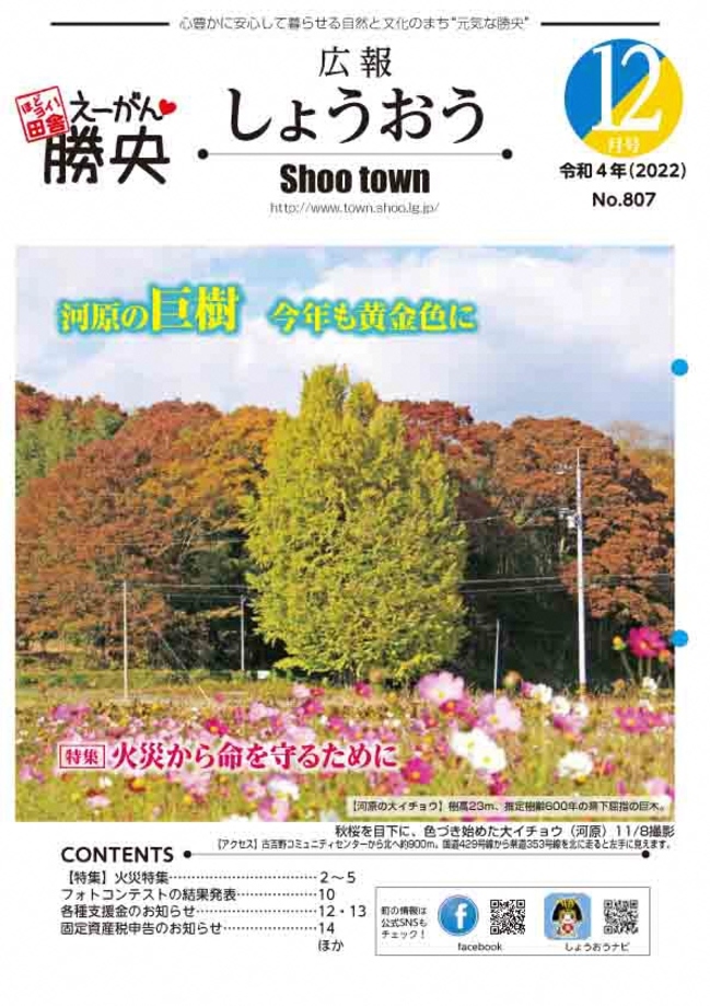 R4年11月号