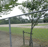 運動公園