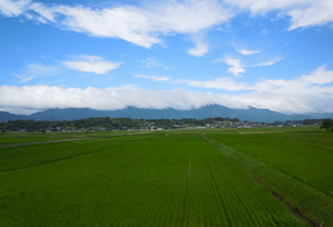 風景（夏）