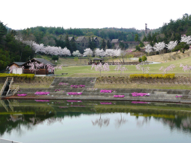 ファーマーズ桜