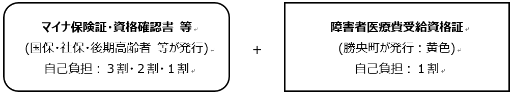 80証　図
