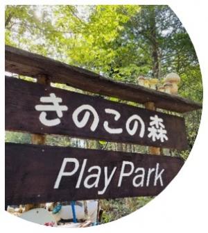 きのこ5