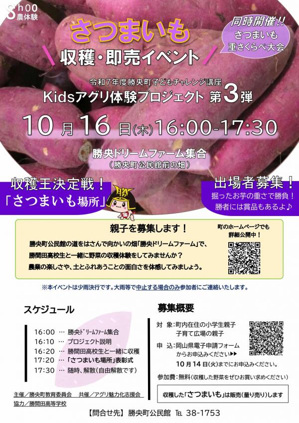 チラシ